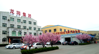 河北龙润